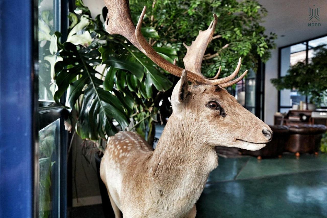 Hotel The Wood 3*